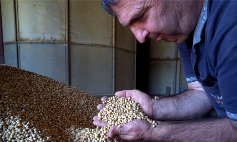 REPORTAGE. Bio : « Les trésoreries sont à sec » témoigne un producteur de céréales gersois